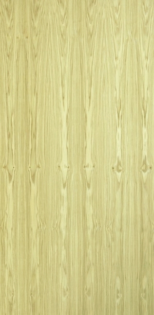 ModernWood Texture