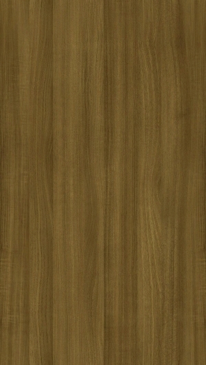 ModernWood Texture