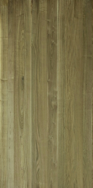 ModernWood Texture