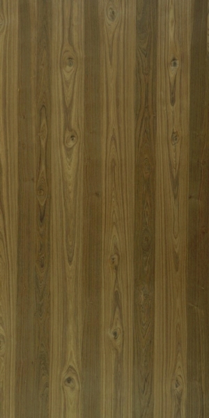 ModernWood Texture