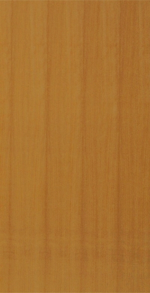 ModernWood Texture