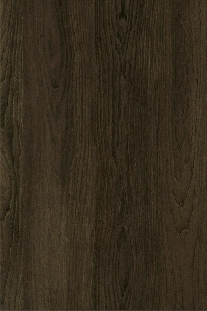 ModernWood Texture