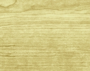 ModernWood Texture