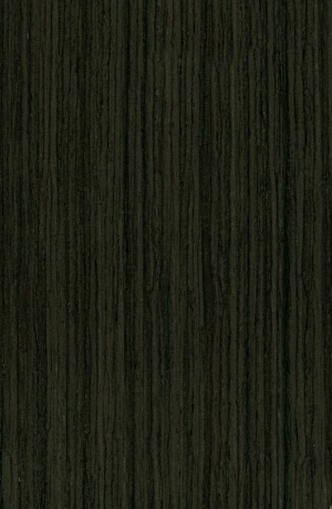 ModernWood Texture