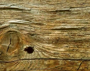 ModernWood Texture