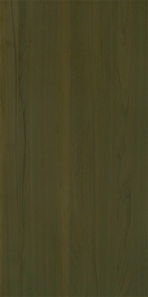 ModernWood Texture