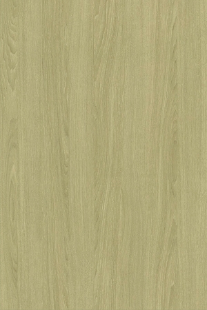 ModernWood Texture