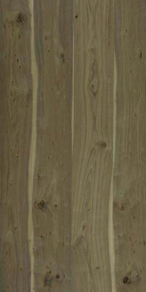 ModernWood Texture