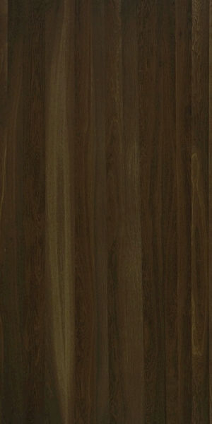 ModernWood Texture