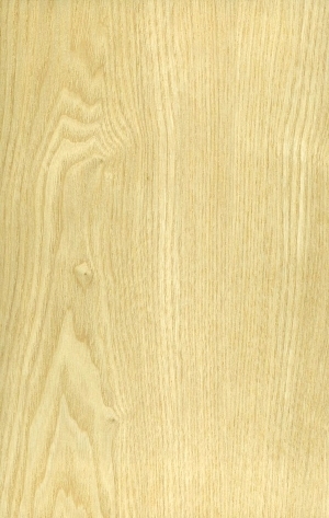 ModernWood Texture