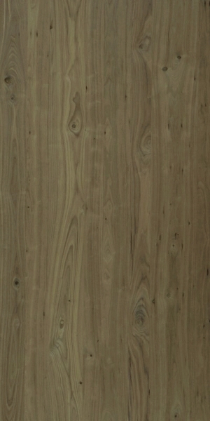 ModernWood Texture