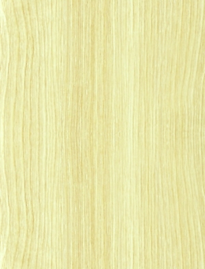 ModernWood Texture