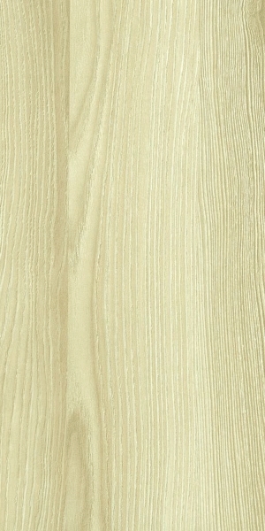 ModernWood Texture