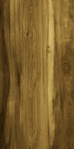 ModernWood Texture