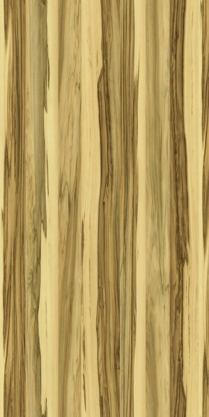 ModernWood Texture