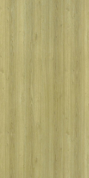 ModernWood Texture