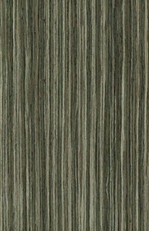 ModernWood Texture