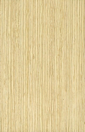 ModernWood Texture