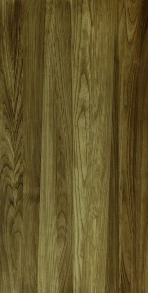 ModernWood Texture