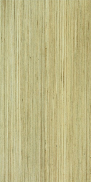ModernWood Texture