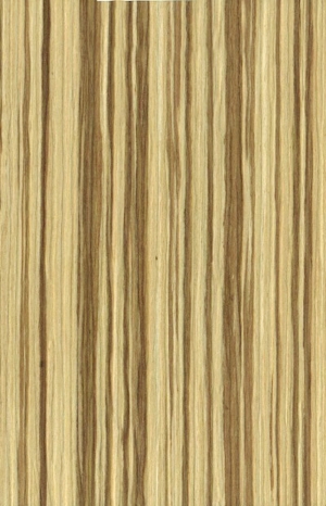 现代木纹-ID:592072962