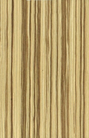 ModernWood Texture