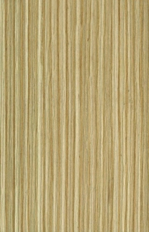 ModernWood Texture