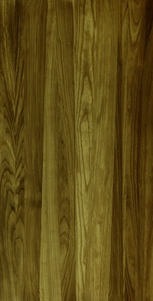ModernWood Texture