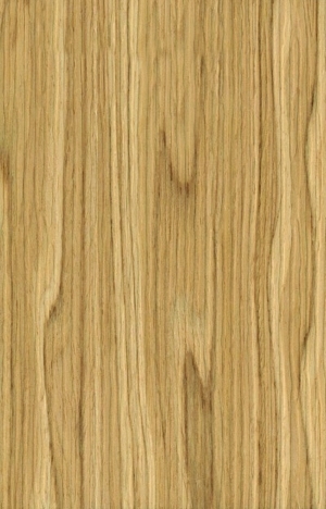 ModernWood Texture