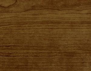 ModernWood Texture
