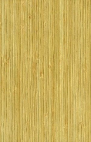 ModernWood Texture