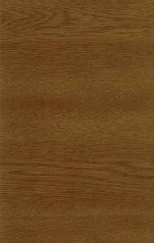 ModernWood Texture