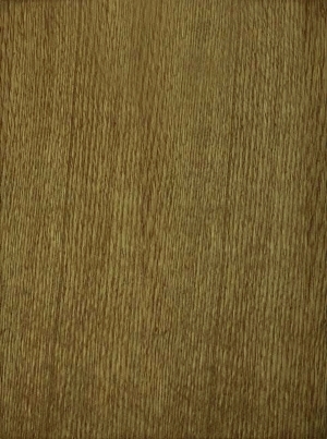 ModernWood Texture
