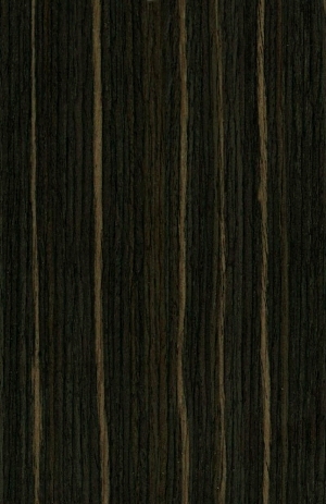ModernWood Texture