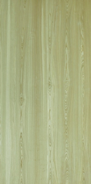 ModernWood Texture