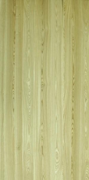ModernWood Texture