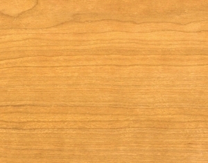 ModernWood Texture