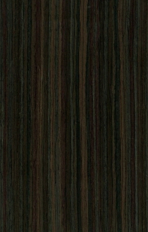 ModernWood Texture