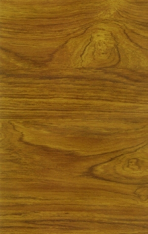 ModernWood Texture