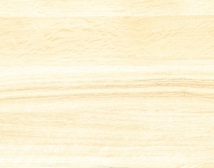 ModernWood Texture