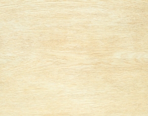 ModernWood Texture