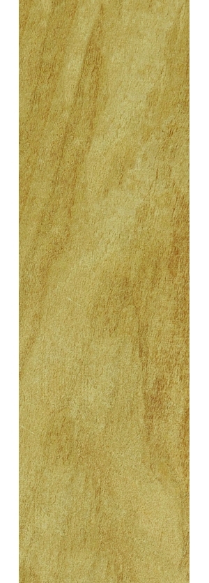 ModernWood Texture