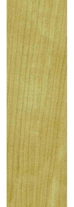 现代木纹-ID:955648909