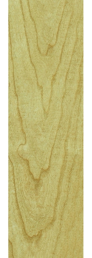 ModernWood Texture