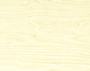 ModernWood Texture
