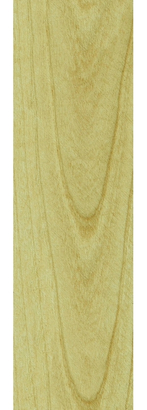 ModernWood Texture