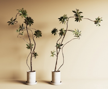 现代落地绿植盆栽组合-ID:418977983