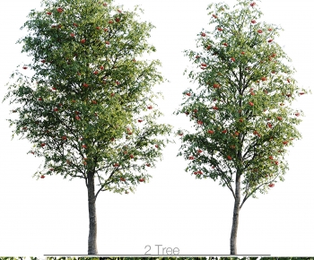 Modern Tree-ID:929136045