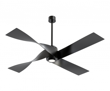 Modern Fan-ID:130630971