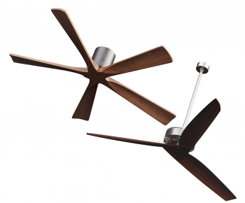 Modern Fan-ID:252527955